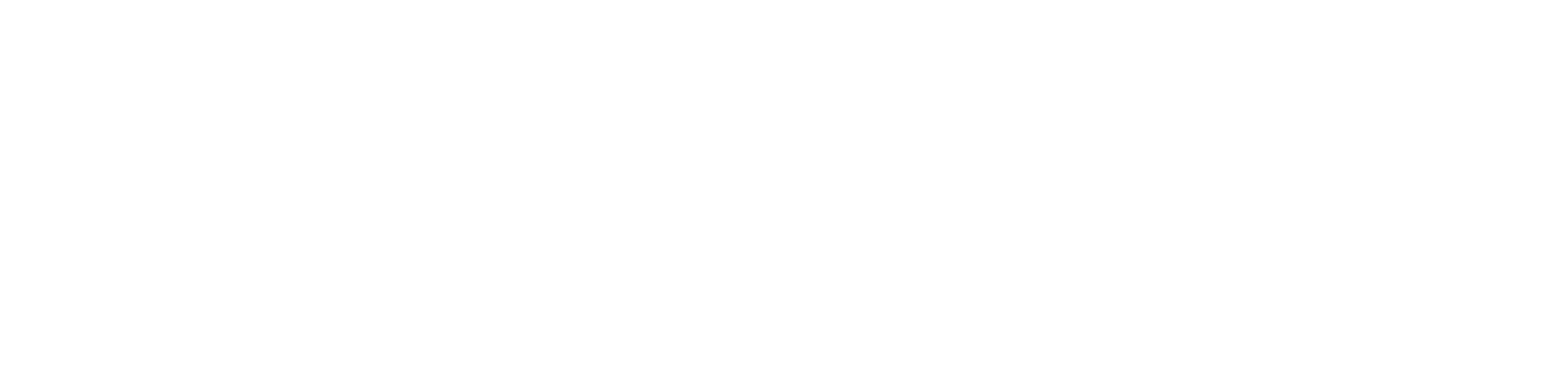 LOGO_SAULEDA_USA_white-1